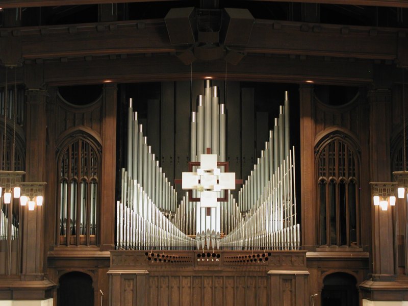 Organ 01