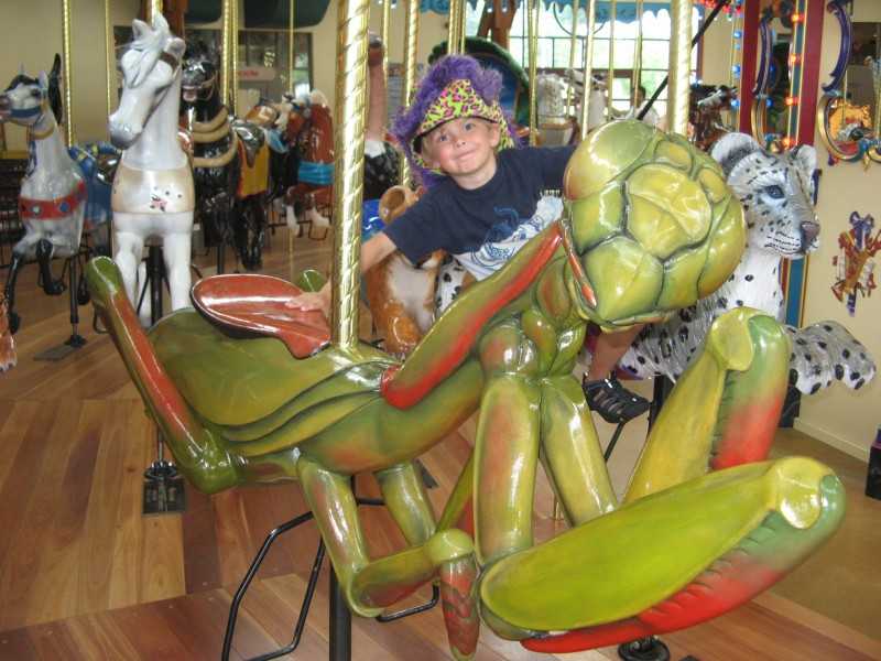 carousel at StJoe