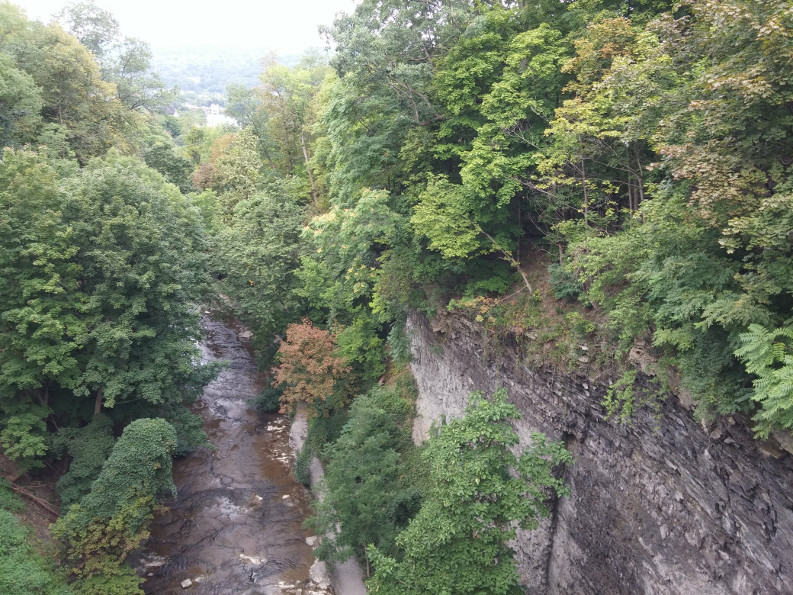 Cornell Ravine