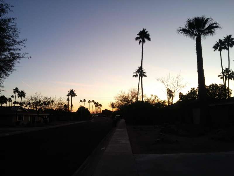 az palms