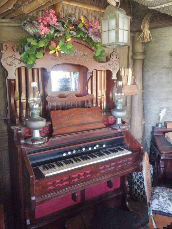 dw th organ