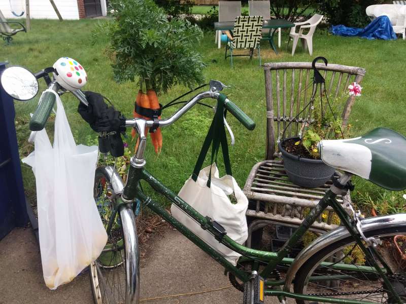 market bike carrots